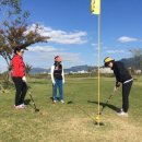 파크골프 이미지