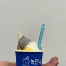 녹쟌니 | [강원/속초] 귀여운 젤라또 맛집 &lt;녹쟌니&gt; / 내돈내산 후기