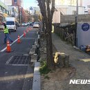 월봉로 뉴시스