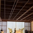 💍 [강남 웨딩홀 후기] 더베일리하우스 삼성점, 단독홀 웨딩의 품격을 경험하다
