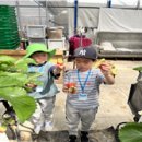 산동초등학교 세계타임즈