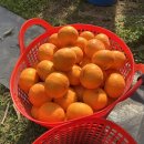 복대목욕탕 이미지