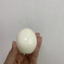 VIP양복점 | 25년 3월 말 4월 초의 기록ㅣ야매 스위치온 다이어트 일기 '일상 조각'