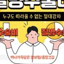 원*종 이미지
