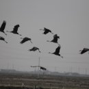 회현농장 이미지