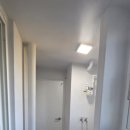 우성동백 이미지