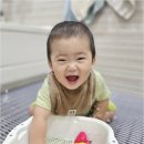 청라어린이집 | 우리 아이의 행복한 첫 시작, 청라어린이집 봄빛어린이집에서 만나는 특별한 하루