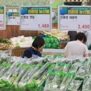 친환경농산물 - 12475 | 친환경농산물