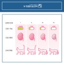 진보동물병원 | 강아지 고양이 신부전 치료에 줄기세포 효과가 있을까 부산 w동물병원 ckd 관리 후기