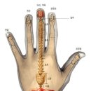 소화가 안되거나 위장이 약하거나 음식을 잘못먹어 속이 답답할때 즉각적인 효과를 볼수 있는 수지침 혈자리를 소개합니다. 이미지