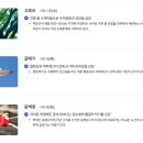 볕고을 티스토리
