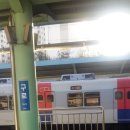 G1064 이미지