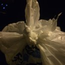 배달삼겹돼지되지 | 전북 전주 배달 맛집 꾸꾸삼겹 전북대점 전북대삼겹살 목살 양념갈비 맛집 가성비 갑 1인 실속세트 후기