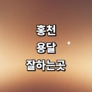 홍천군 근처 용달이사 잘하는곳 추천 화물용달 전문업체 렌트 퀵서비스 가격 소형 침대 라보용달 견적 후기