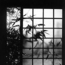 바람이 머무는 곳 이미지