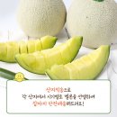 주니사랑몰 네이버블로그