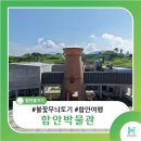 함안외암리공룡발자국 화석 | [경남 함안] 박물관이 살아있다! 함안박물관에서 만난 찬란한 유산