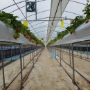 새서울농장 이미지