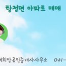 물빛공인중개사사무소 이미지