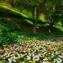 그린별장 이미지