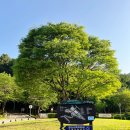 가평 연인산다목적캠핑장 캐빈하우스 B-1｜내돈내산 넓은 복층 구조 대가족 모임 추천 . 단체 펜션 추천