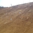 상기태양광발전소 이미지