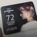 꽃그림 보타니컬 색연필화 | 이터널아트 유성 색연필 72색 써본 솔직 후기 (색연필추천)