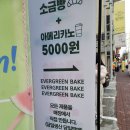 딸기 케이크 맛집 에버그린베이크 [의정부/가능역/카페/케이크맛집]