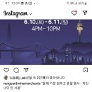 내추럴펭귄 이미지