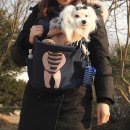 개성있개 이미지