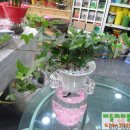 심지주유소 이미지