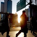 *오늘의 포토* 이미지