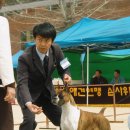 라라달라 이미지