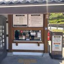 청호1지구 | [공주 가볼만한곳] 유네스코 세계유산 공주 공산성 방문 후기 (주차, 소요시간, 야경 꿀팁)