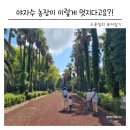 한동안제주 | 제주 트로피카나 후기 영화 수리남 촬영한 그 야자수 군락지