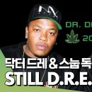 Dr.Dre-Still D.R.E (ft.스눕독) 이미지