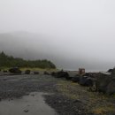 다운타운 이미지