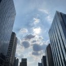 연세정앤김내과의원 이미지