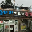 돼지가 - 부천시 원미구 심중로 105 | 제주공항 근처 흑돼지 맛집 제주 흑돼지가있는풍경 솔직후기