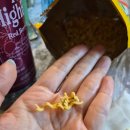 GS25오정소사로점 | [과자] 뿌셔뿌셔 구운양파맛:: 은은하게 맛없음