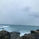 180129~31 [제주도 여행] Part.1