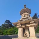 브라운도트 경주안강점 이미지