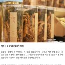 자연인삼 이미지