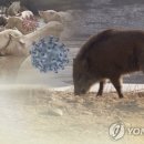 김기훈농장 이미지