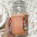 피어니(PEONY)