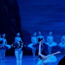 모스크바 국립발레단 내한공연-백조의 호수 | 국립발레단ㅡ백조의 호수 관람 후기(3호선 골목 따라 예술의 전당)