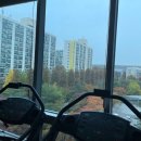 짐 에브리원 증미역점 이미지