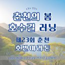 송암스포츠타운 주경기장 | 춘천호반마라톤 총정리｜의암호 풍경 따라 달리는 봄 레이스