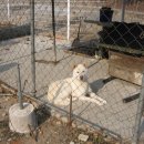 풍운농원 이미지