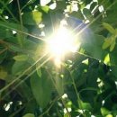 헬스위드짐 이미지